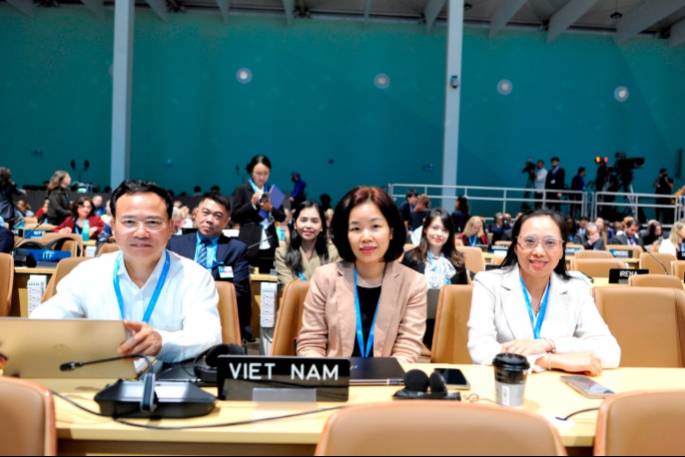 Viet Nam attends COP 29 Climate change Conference