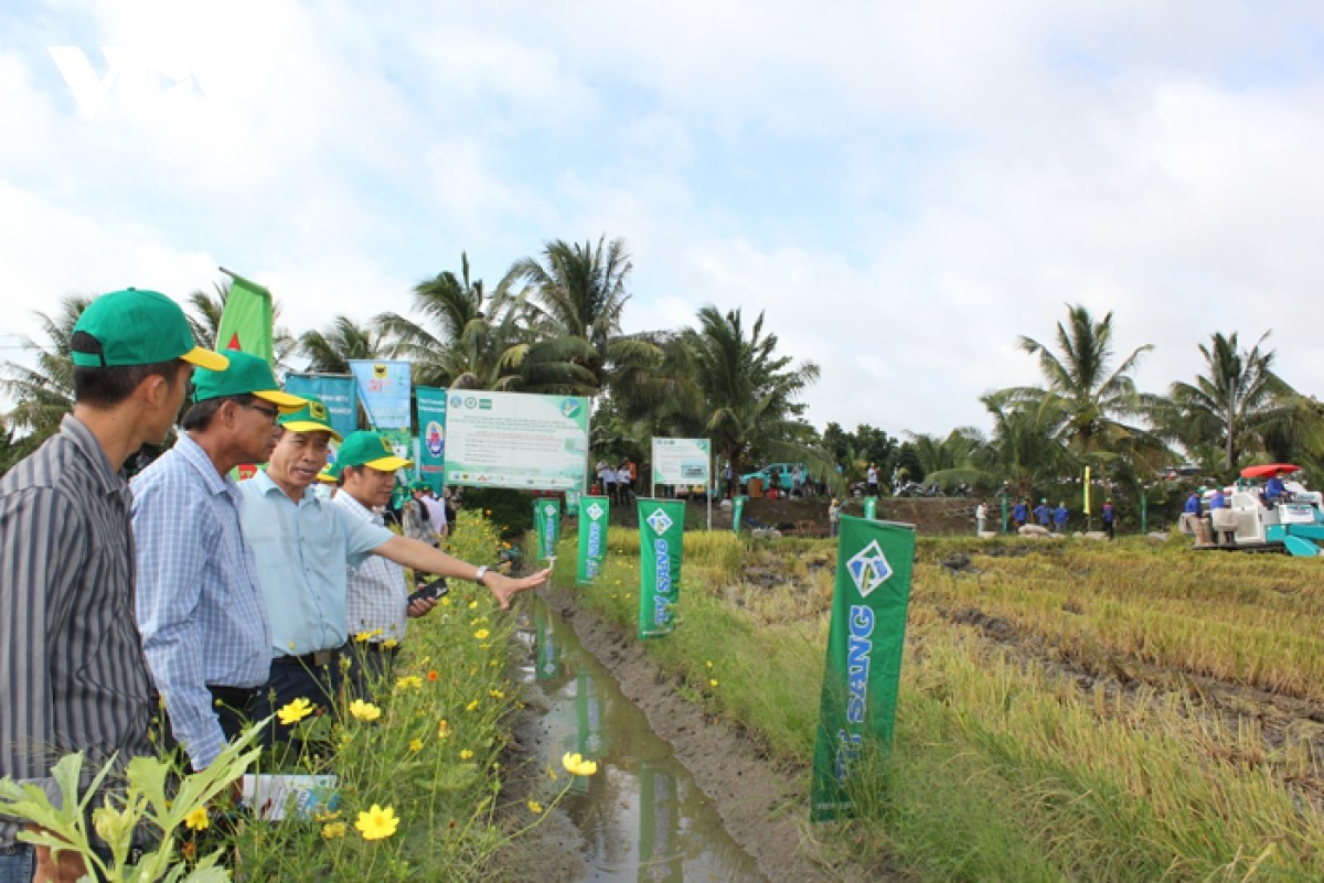 Eight Vietnamese enterprises awarded for emission reduction efforts