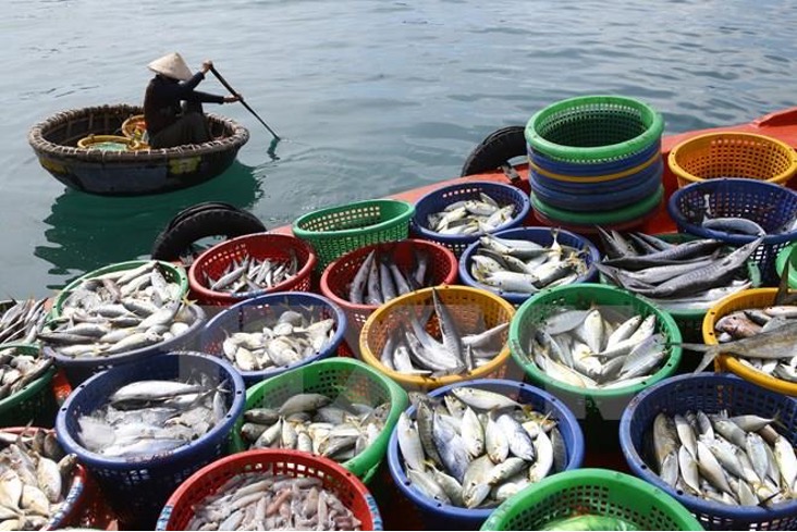 Vietnam shaping the Southeast Asia Regional IUU fishing network