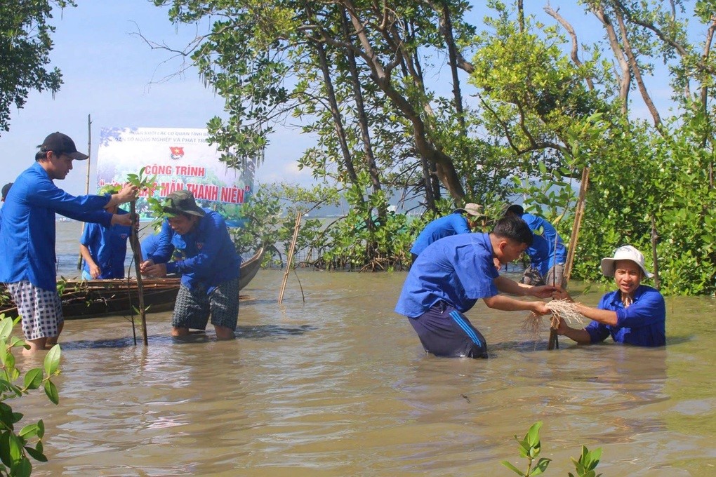 31.6 billion VND to help coastal communities improve climate change resilience